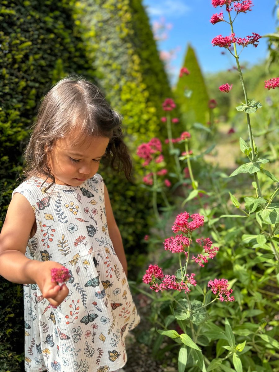 Evie Dress – Floral Butterfly