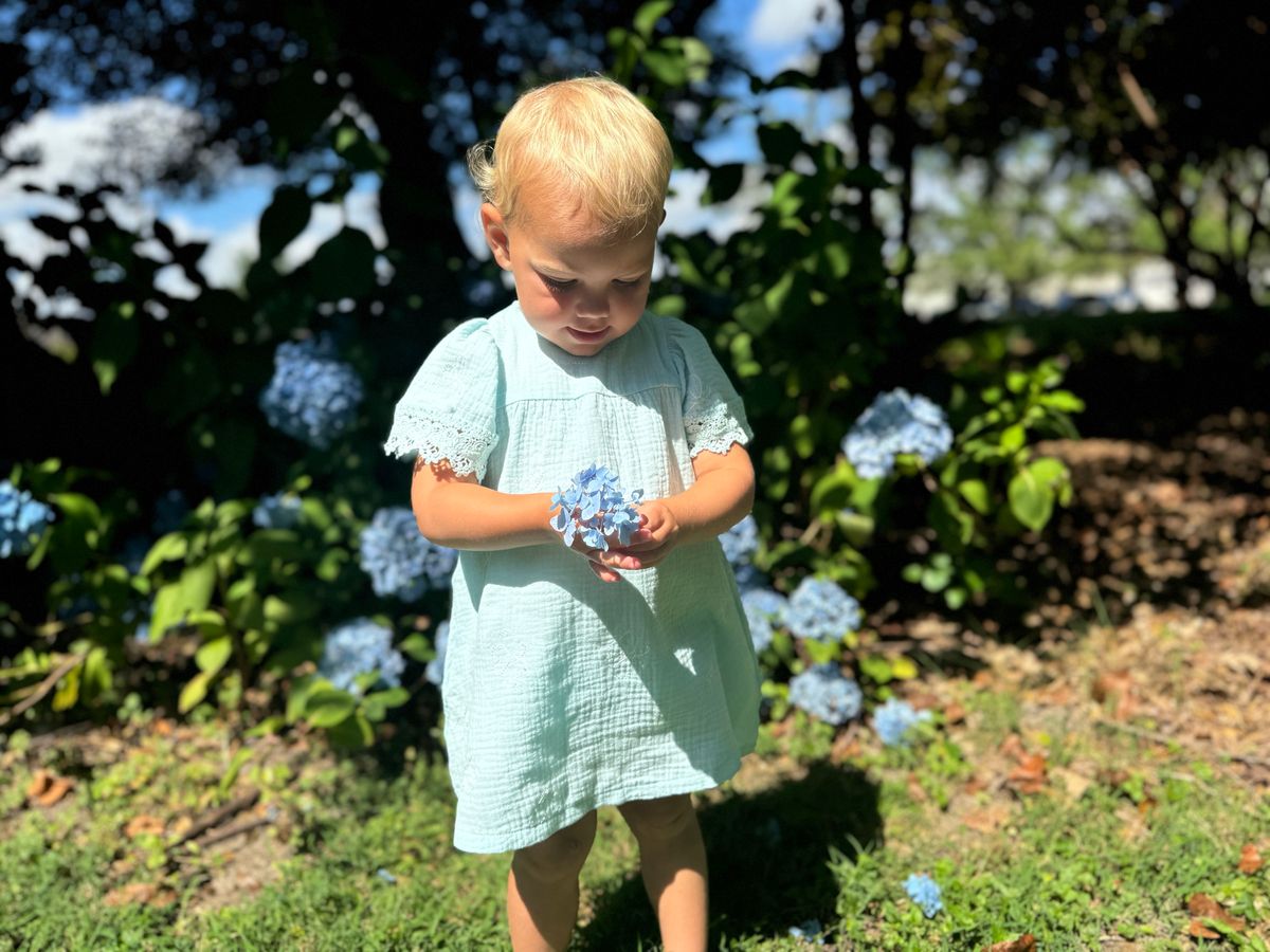 Laura Dress – Embroidered Aqua Butterfly