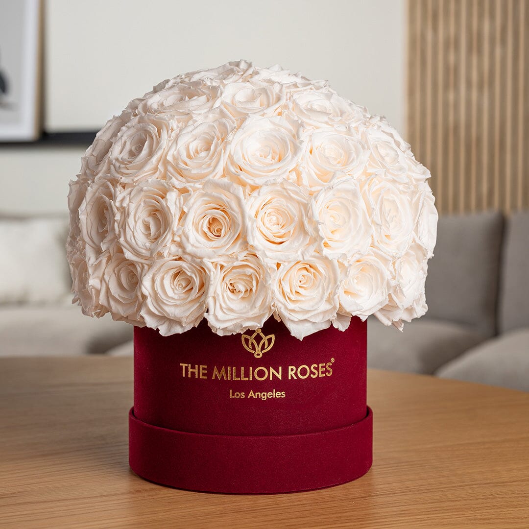 Classic Bordeaux Suede Superdome Box | White Roses