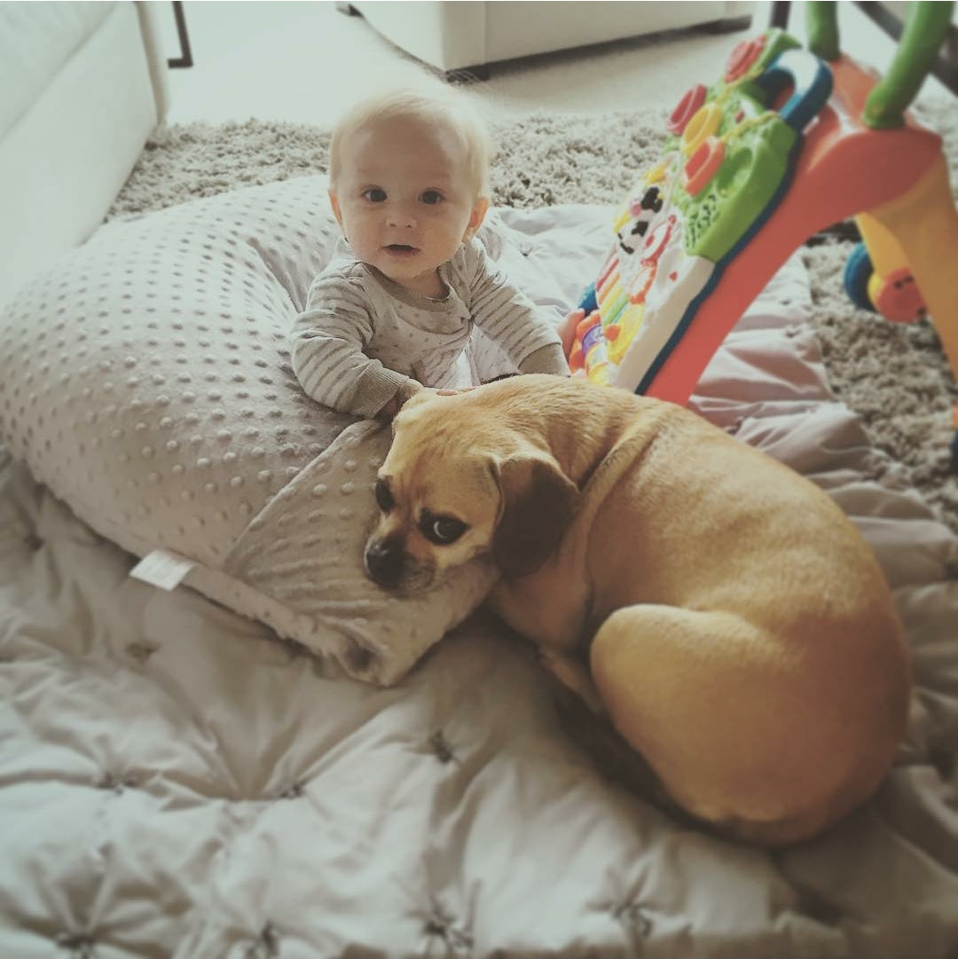 Award-Winning Nursing Pillow - Turquoise Dot Design | Breastfeeding Support | Luna Lullaby