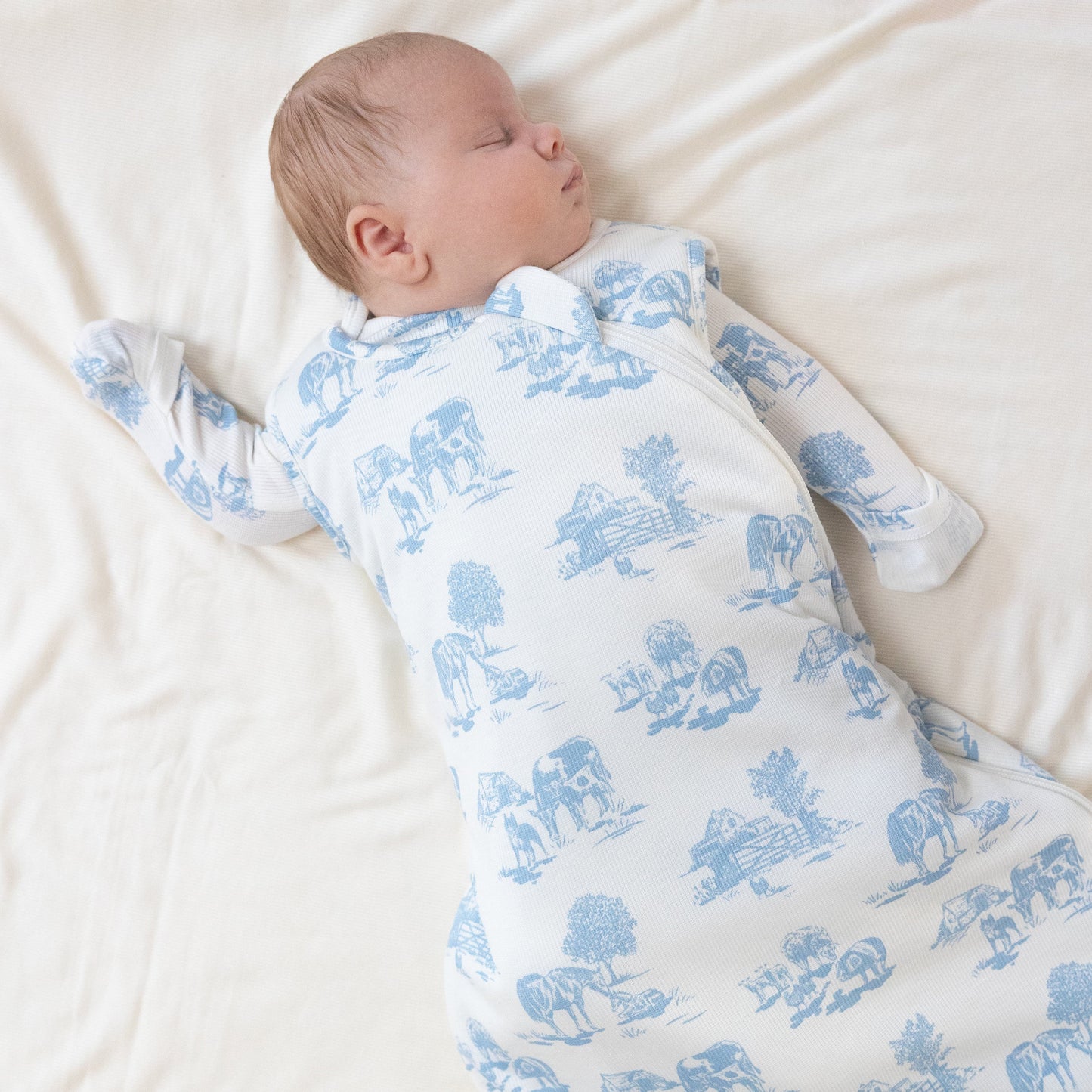 Sleep Bag