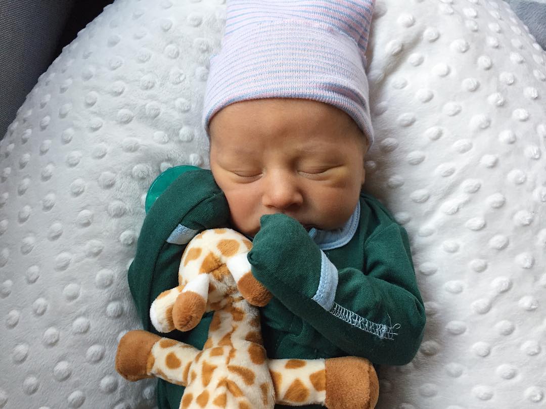 Award-Winning Nursing Pillow - Highland Cow Design | Ergonomic Breastfeeding Support | Luna Lullaby