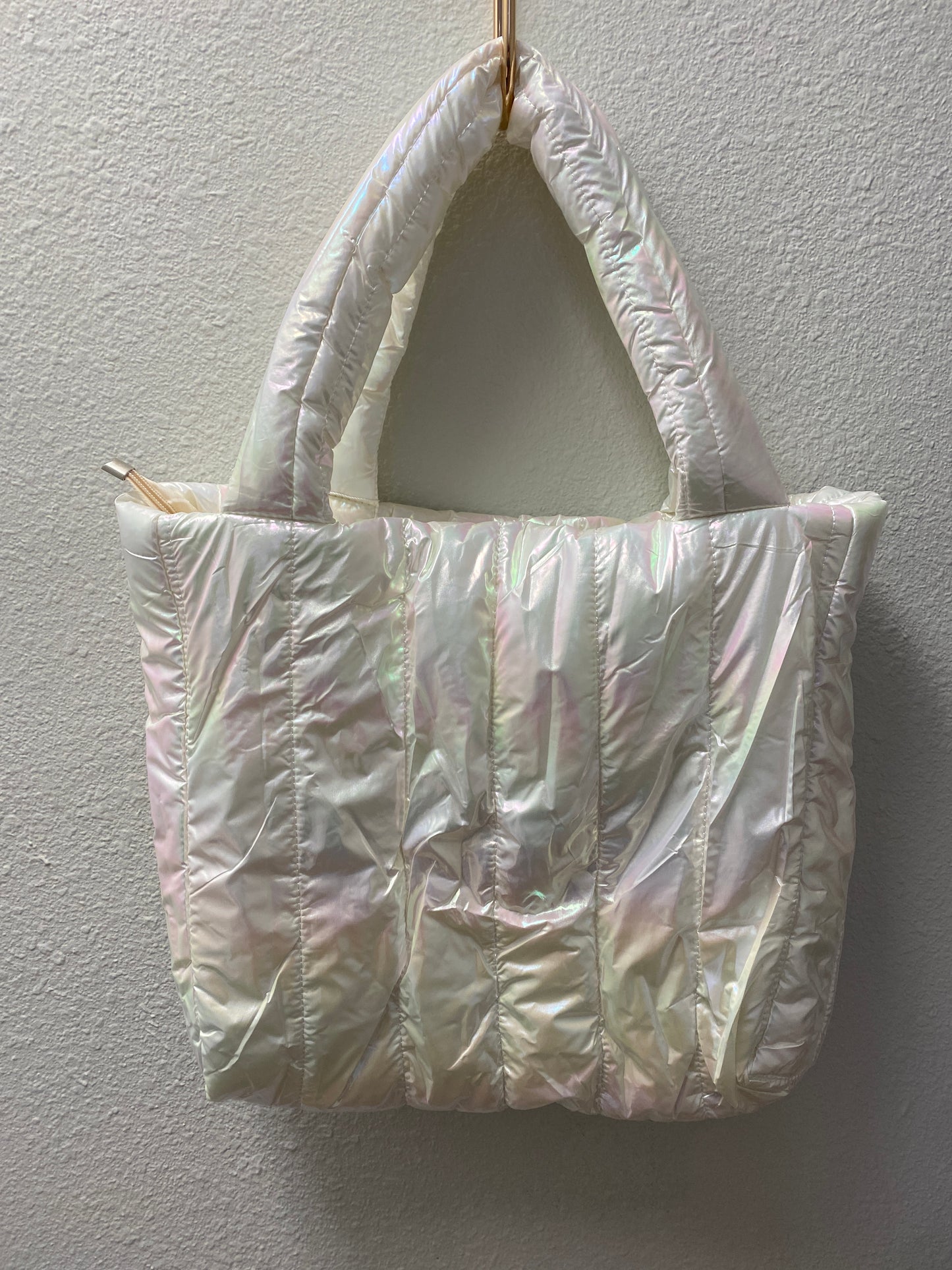 Iridescent Purse/Tote