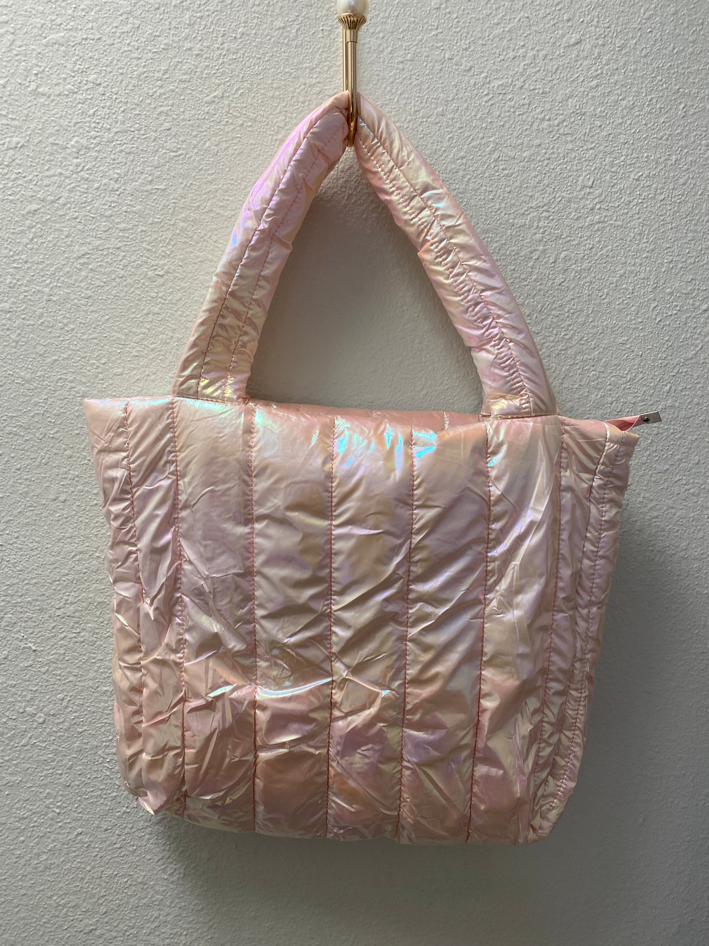 Iridescent Purse/Tote