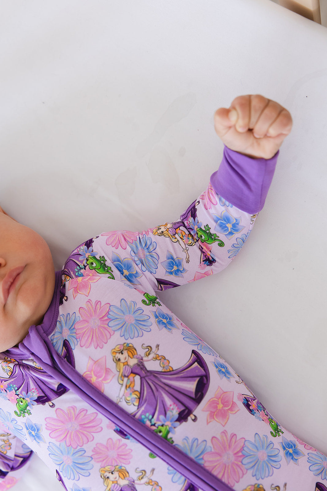 The Lost Princess - Zippy