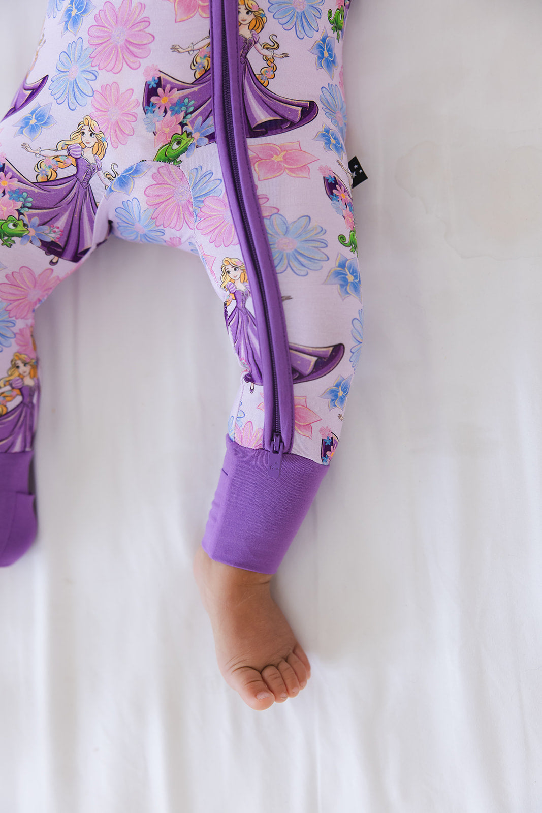 The Lost Princess - Zippy