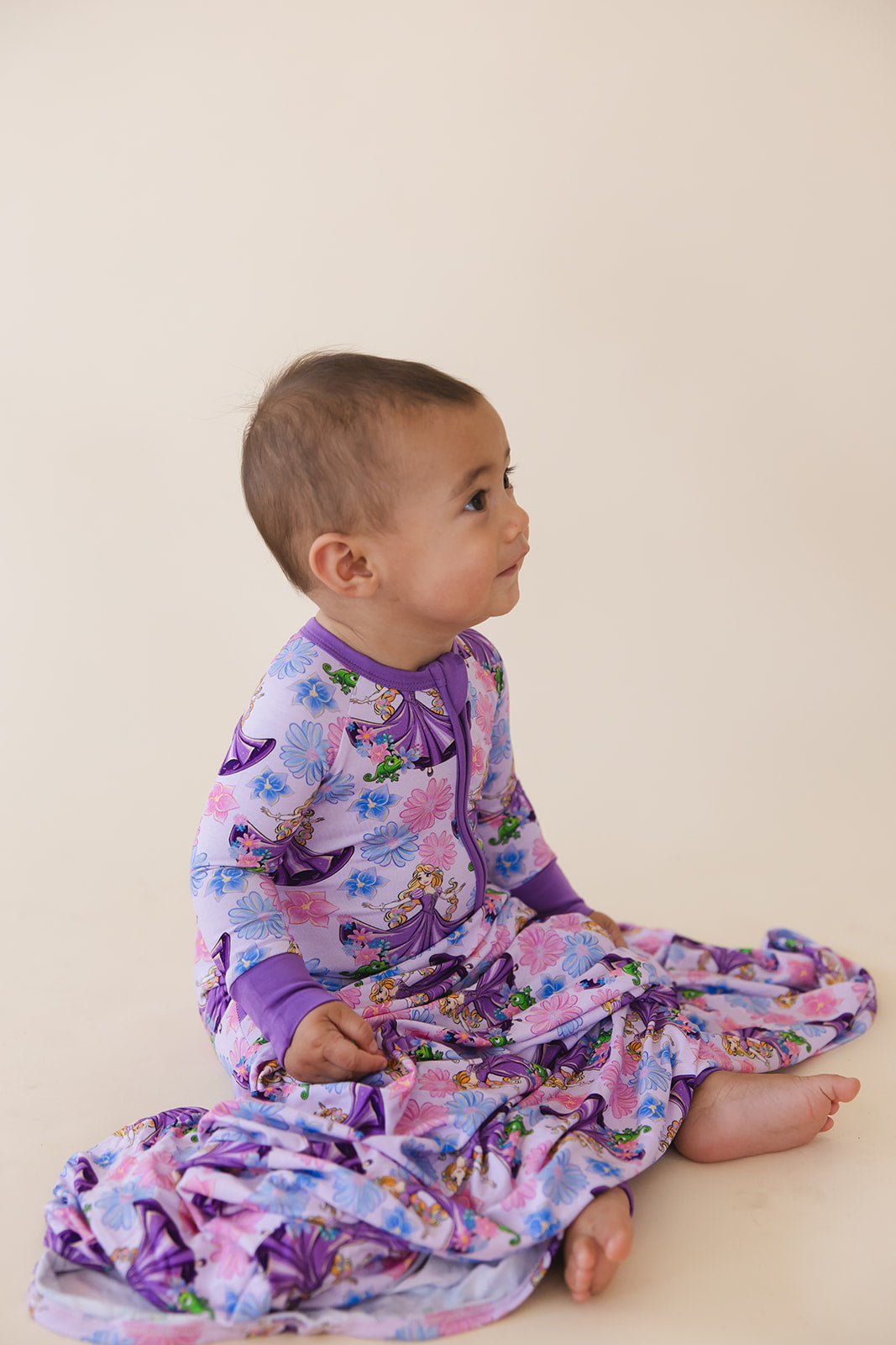 The Lost Princess - Zippy