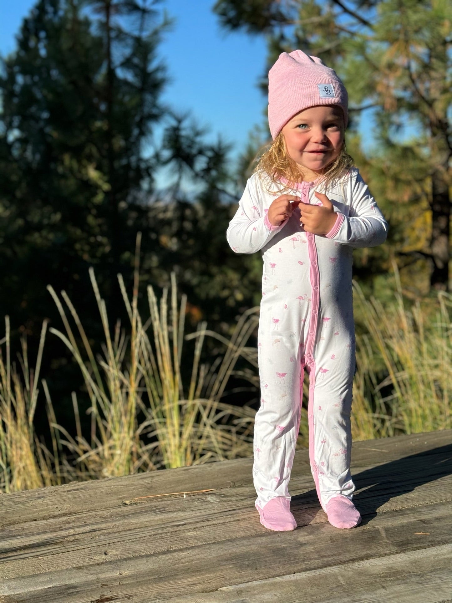 Flamingo | Snap Footie