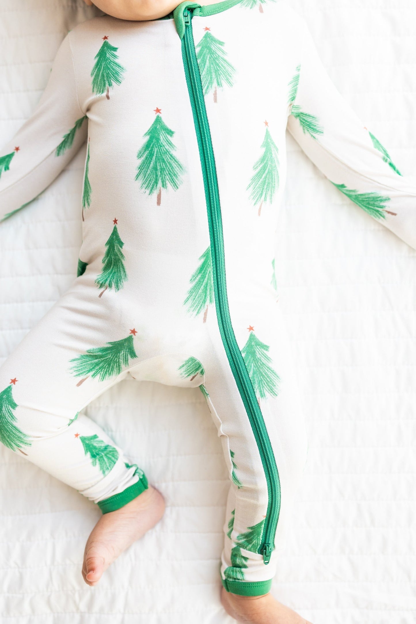 Twinkling Pines Cozie