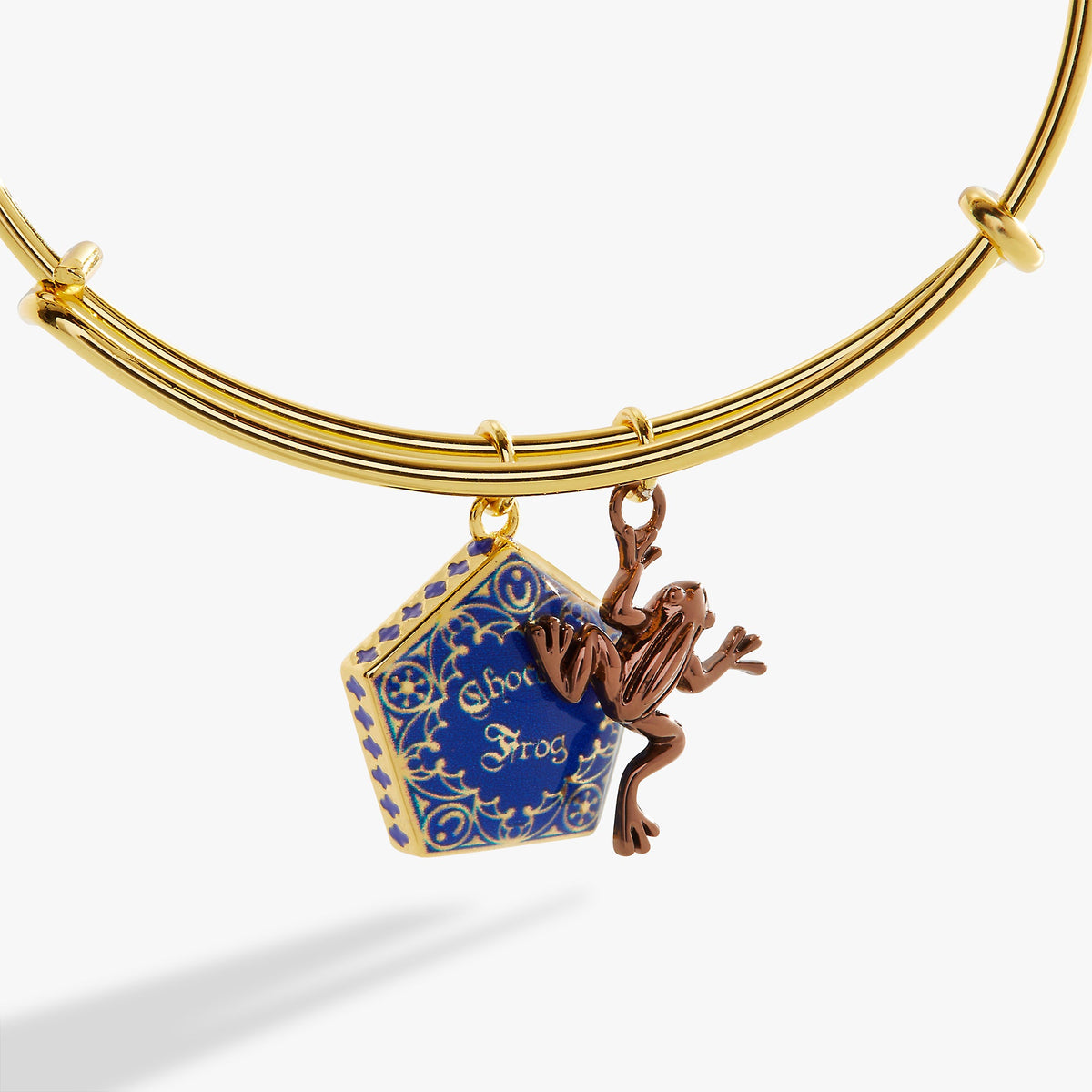 Harry Potter™ Chocolate Frog Two-Charm Bangle