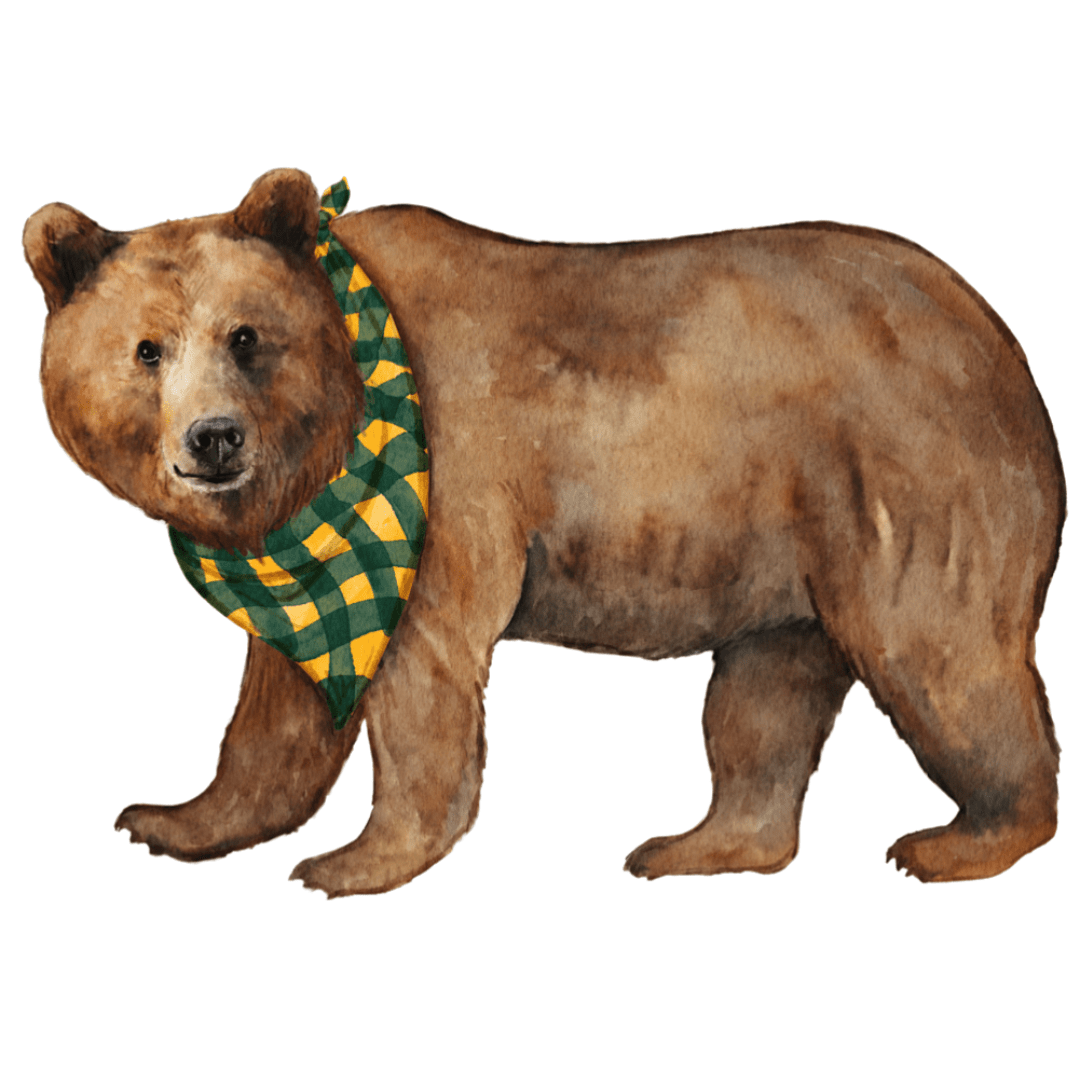 Bear Door Hanger