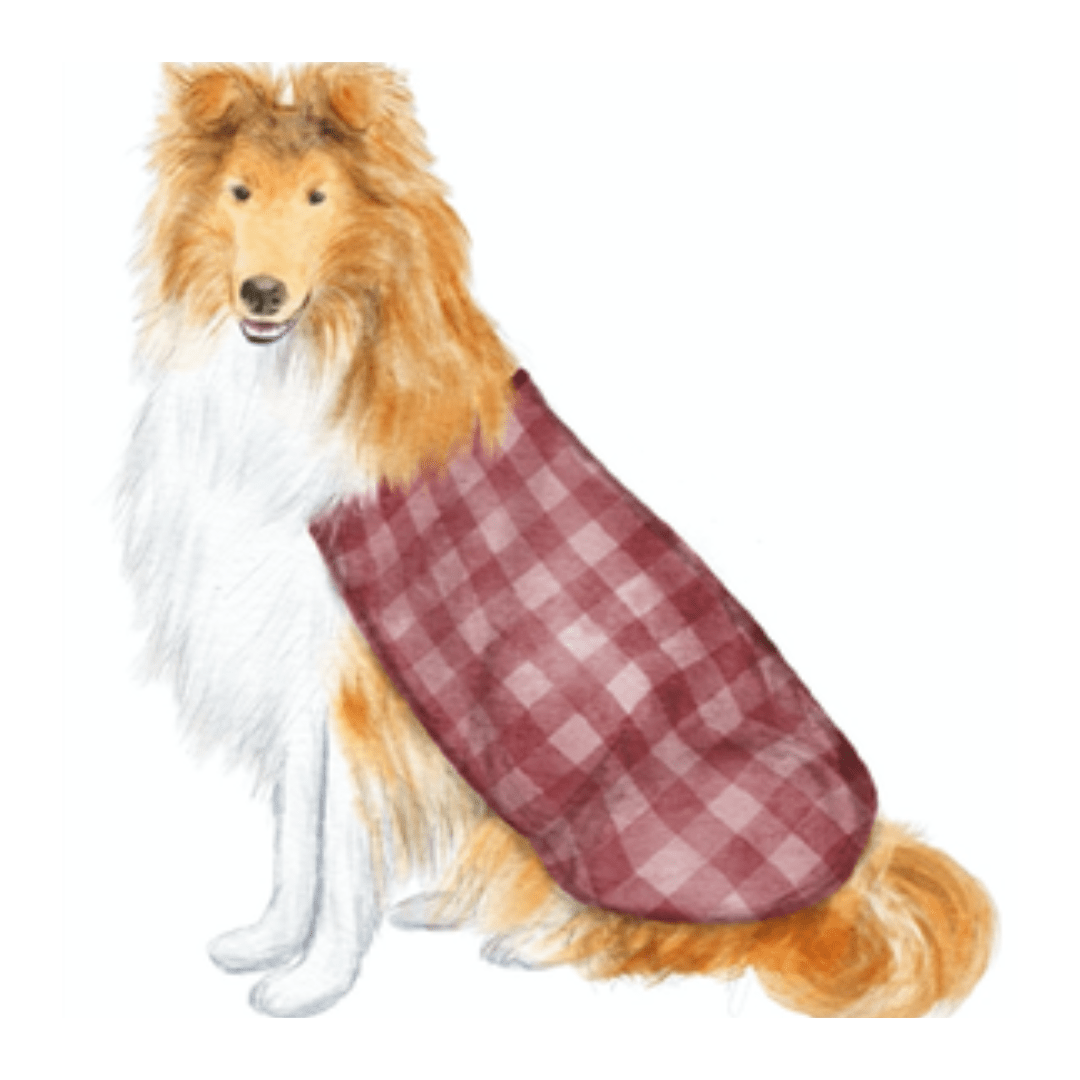 Collie Acrylic
