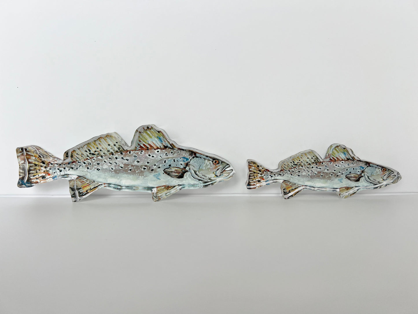Speckled Sea Trout Fish Acrylic Tabletop Art
