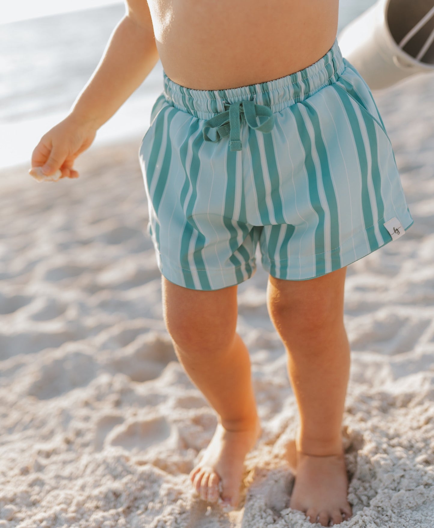 Candyland Stripe Swim Shorts