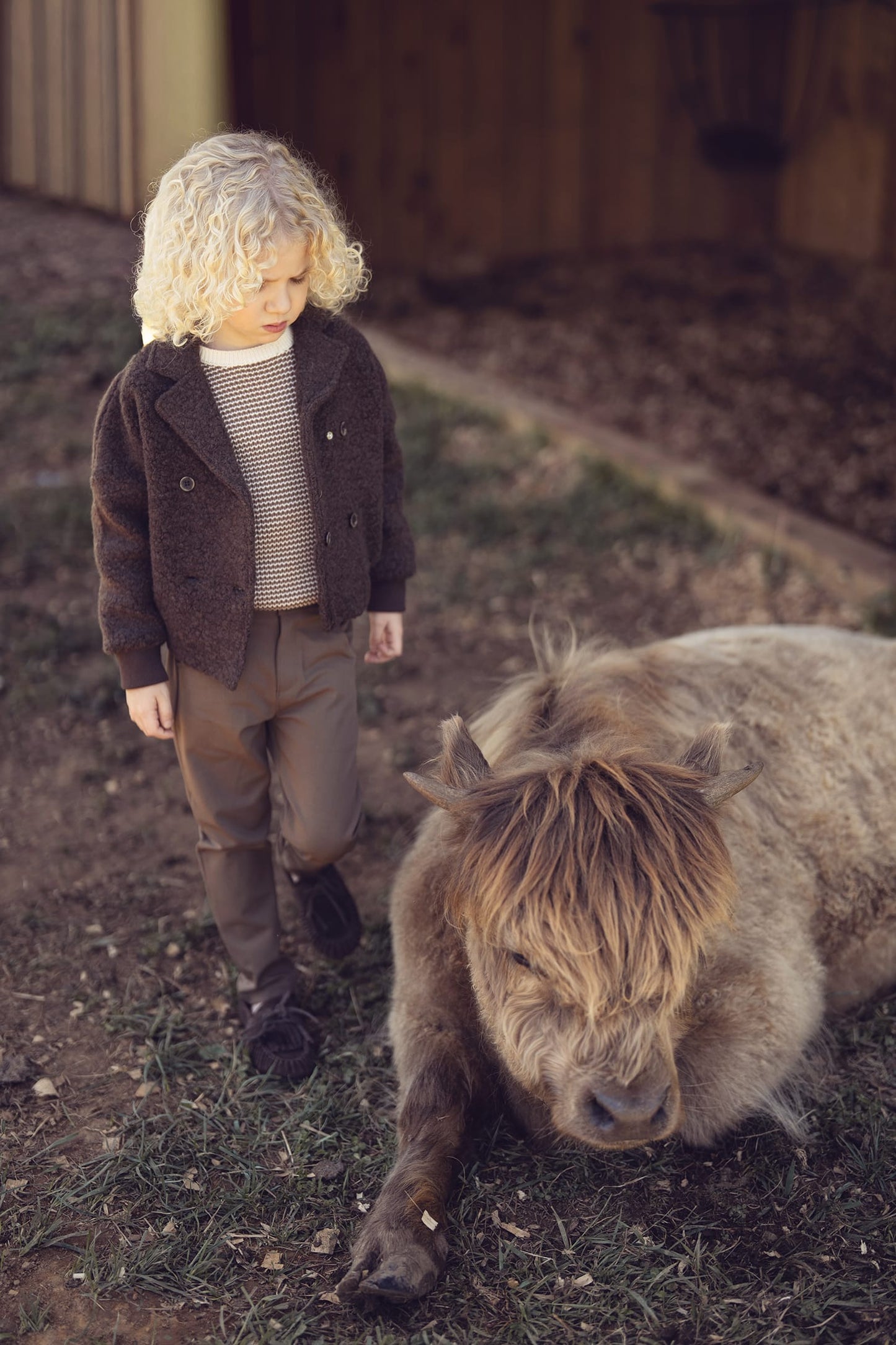 Kenny Sherpa Jacket - Chocolate