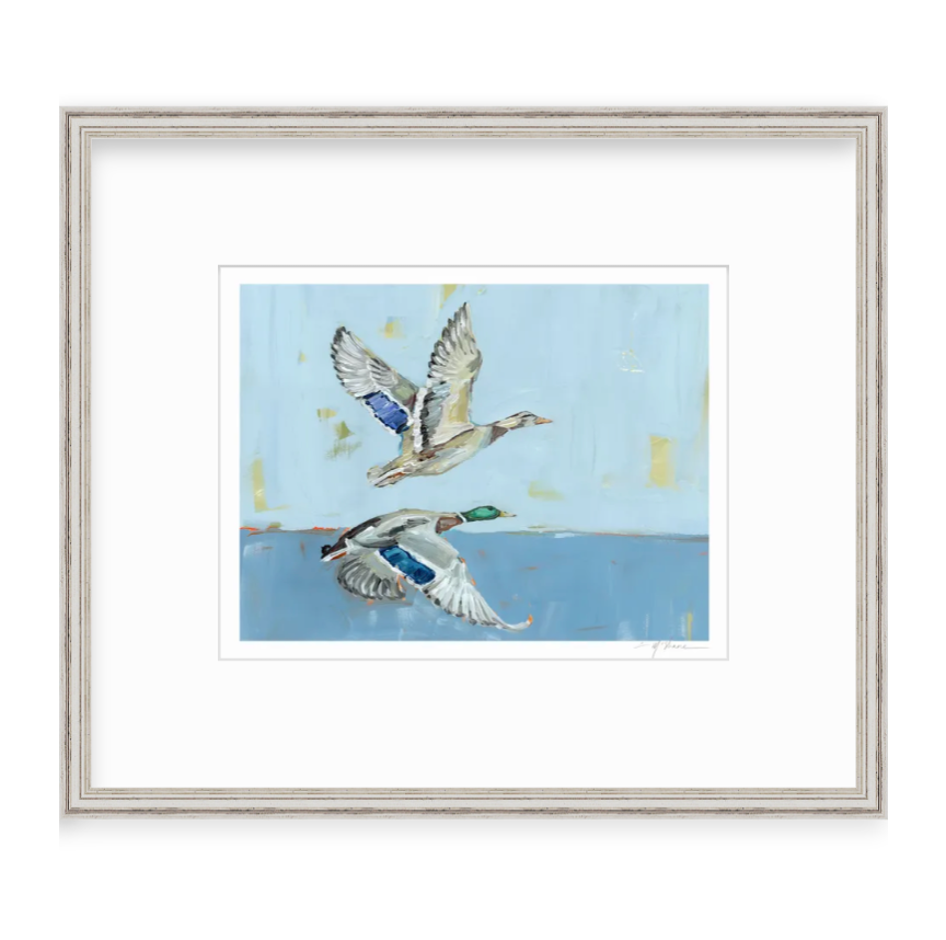 Soaring High Ducks Fine Art Print