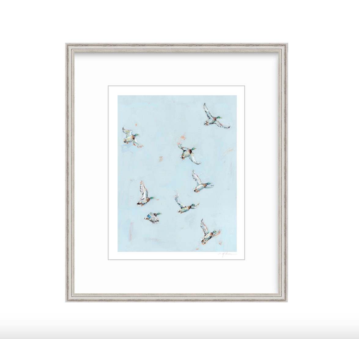 Free Flying Ducks Fine Art Print