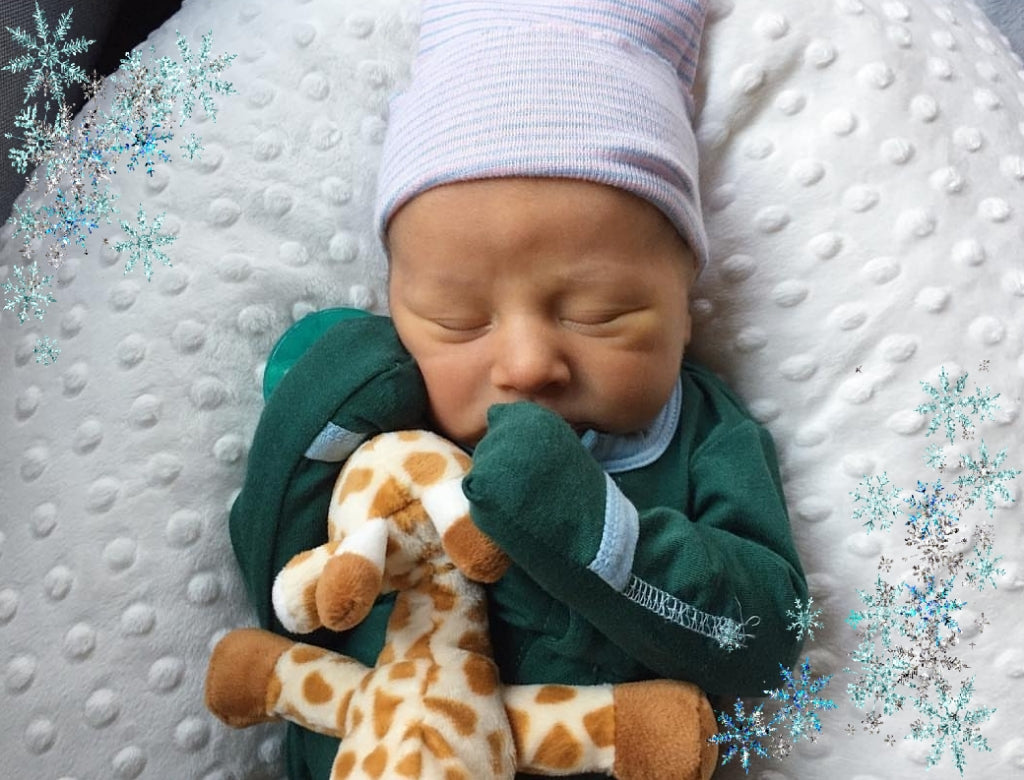 Award-Winning Nursing Pillow - Dig it Design | Ergonomic Breastfeeding Support | Luna Lullaby