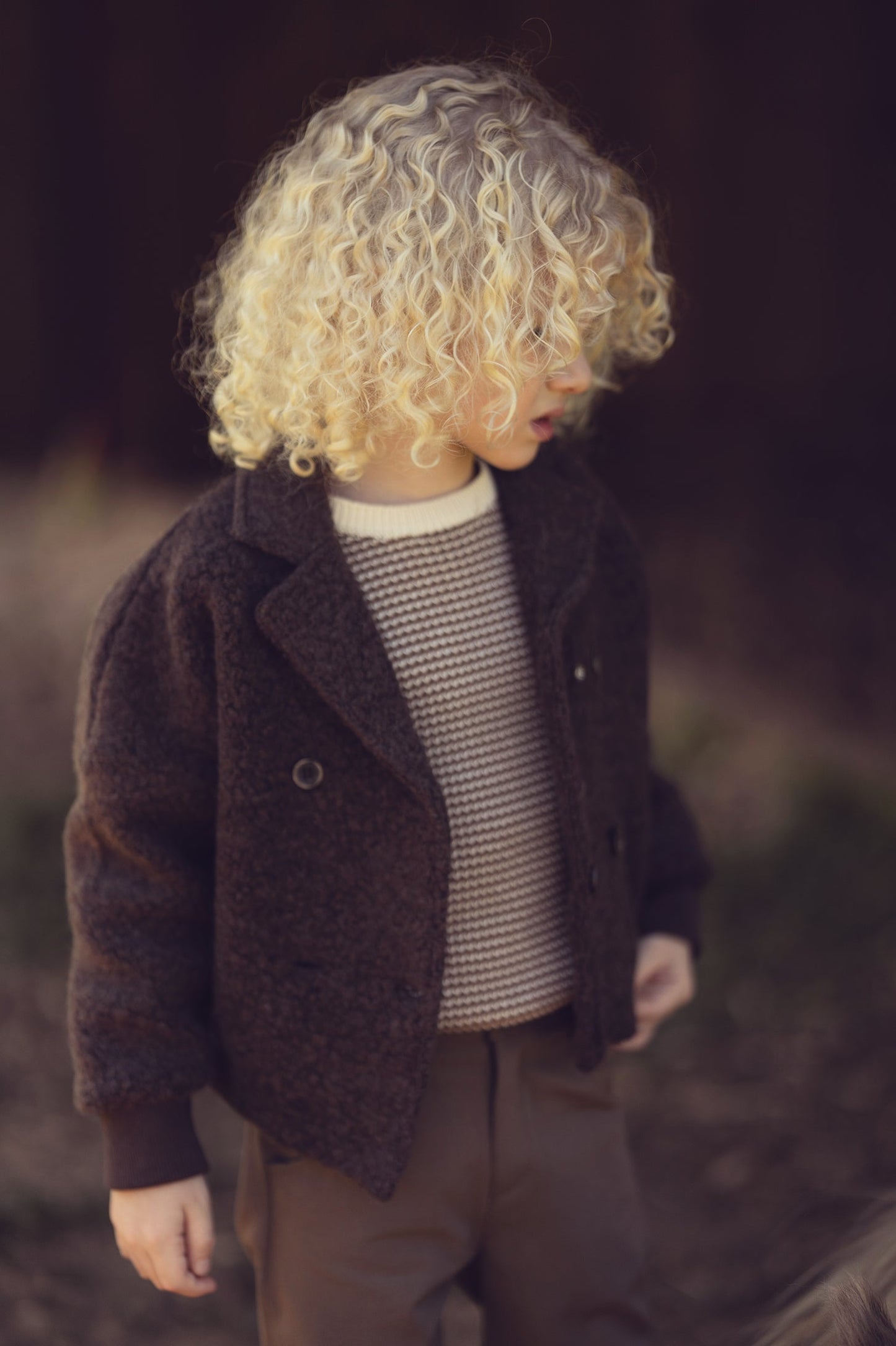 Kenny Textured Sweater - Chestnut