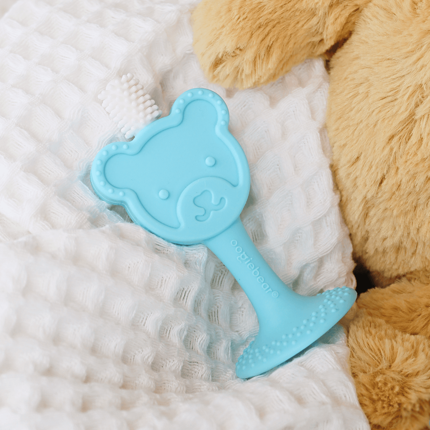baby training toothbrush & teether