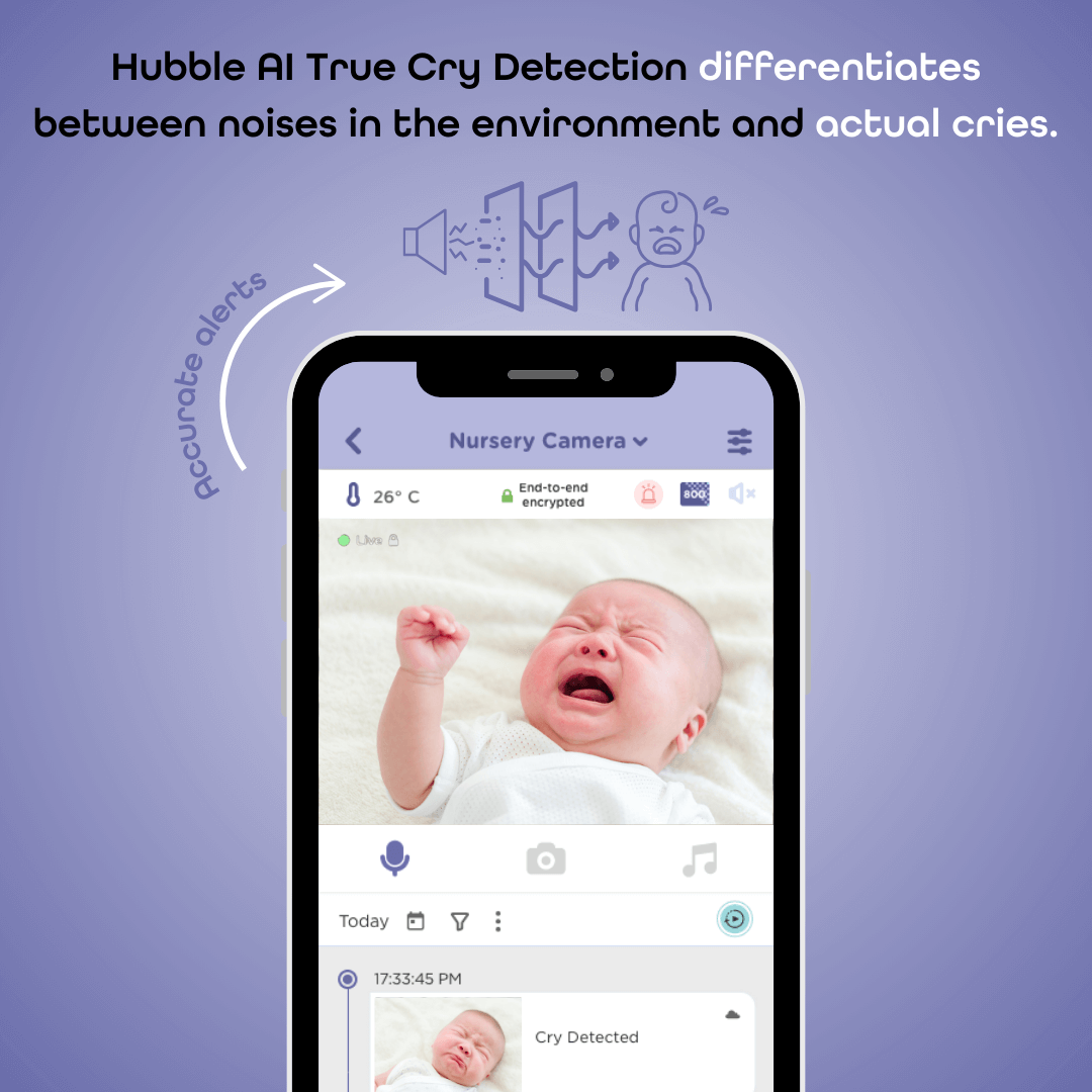 Hubble AI Vision