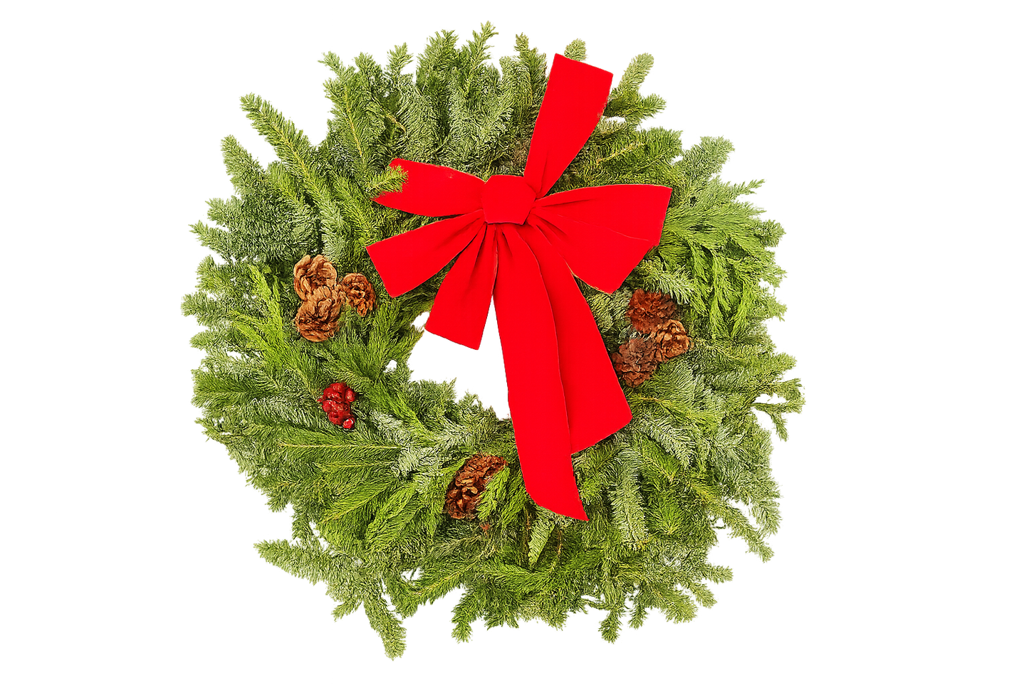 22" Decorated Evergreen Wreath | Fresh Fraser, Noble & Cedar Holiday Wreath | House Plant Shop