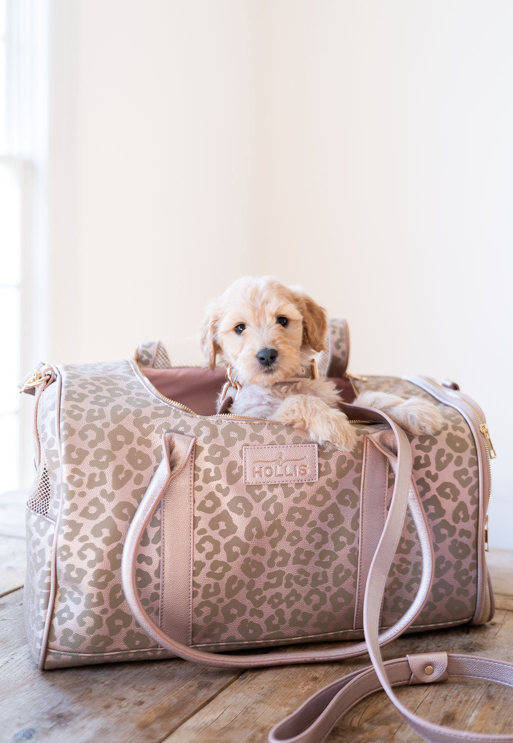 Dog Leash & Collar - RECENTLY MARKED DOWN - FINAL SALE - WILL BE DISCONTINUED