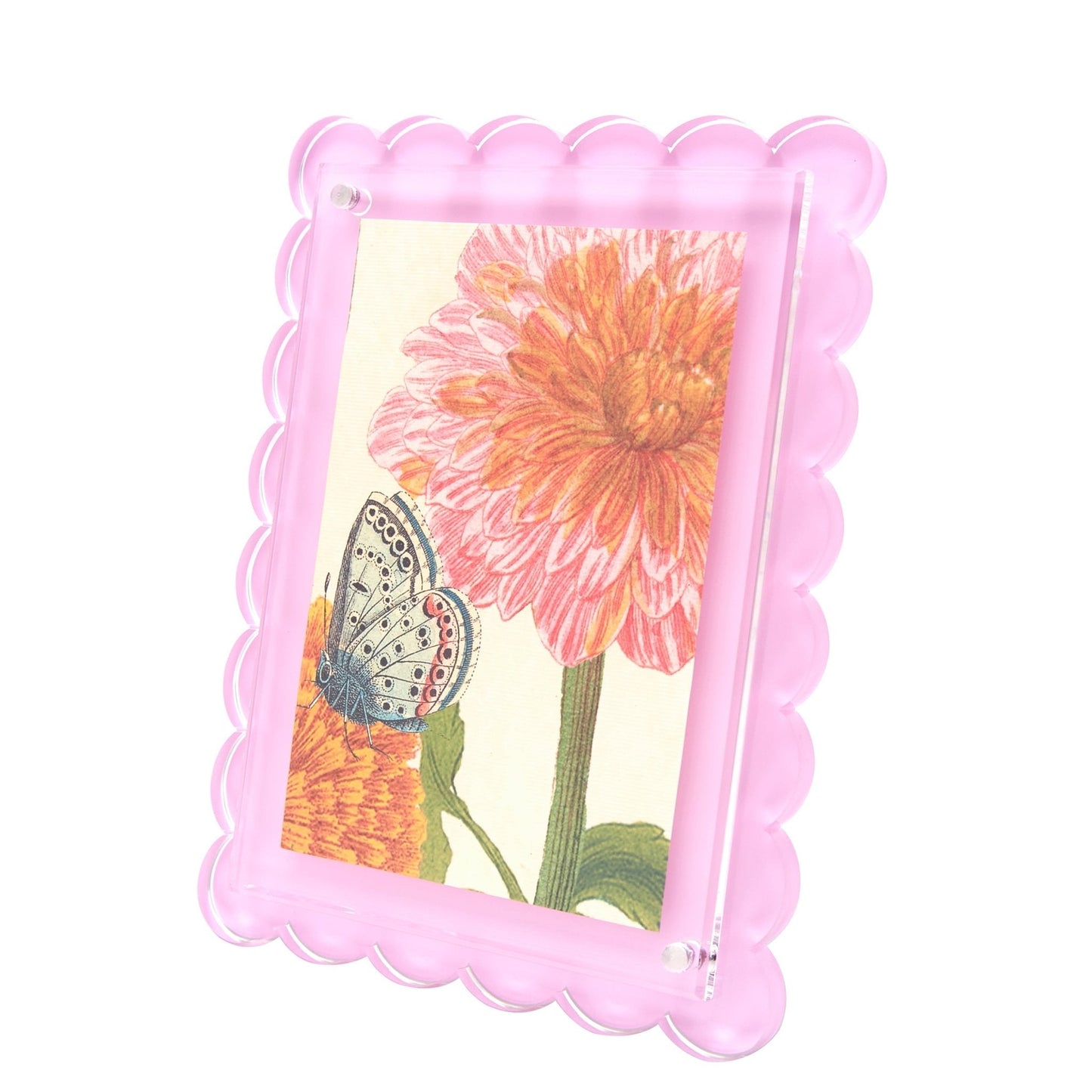 Pastel Pink Acrylic Scallop Frame