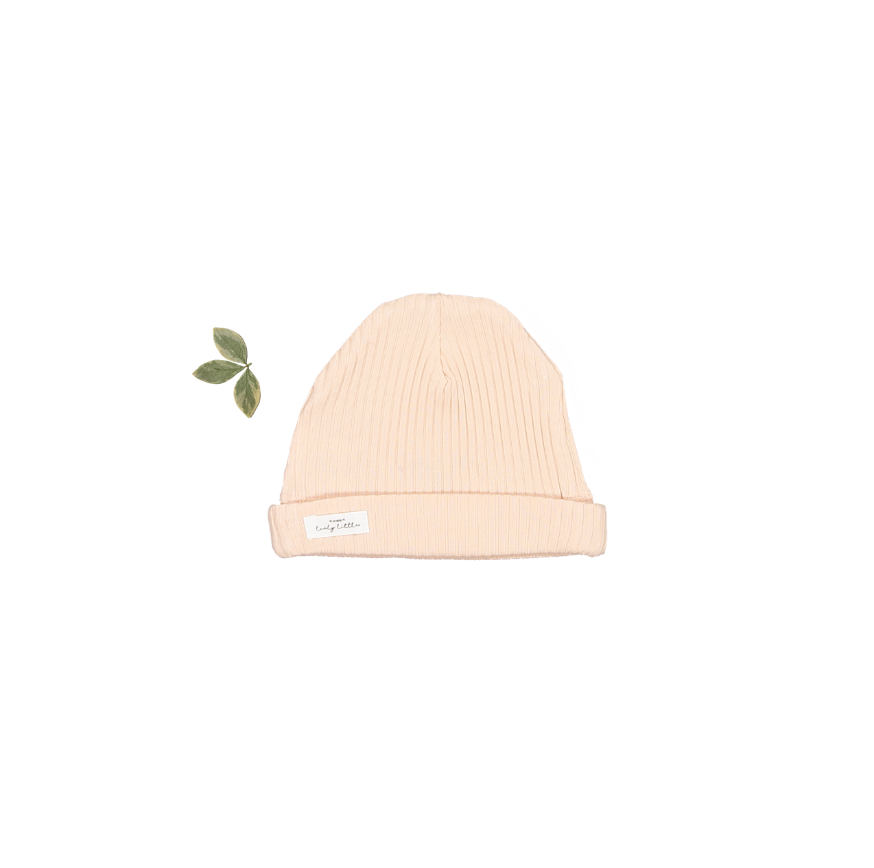 The Hat - Powder