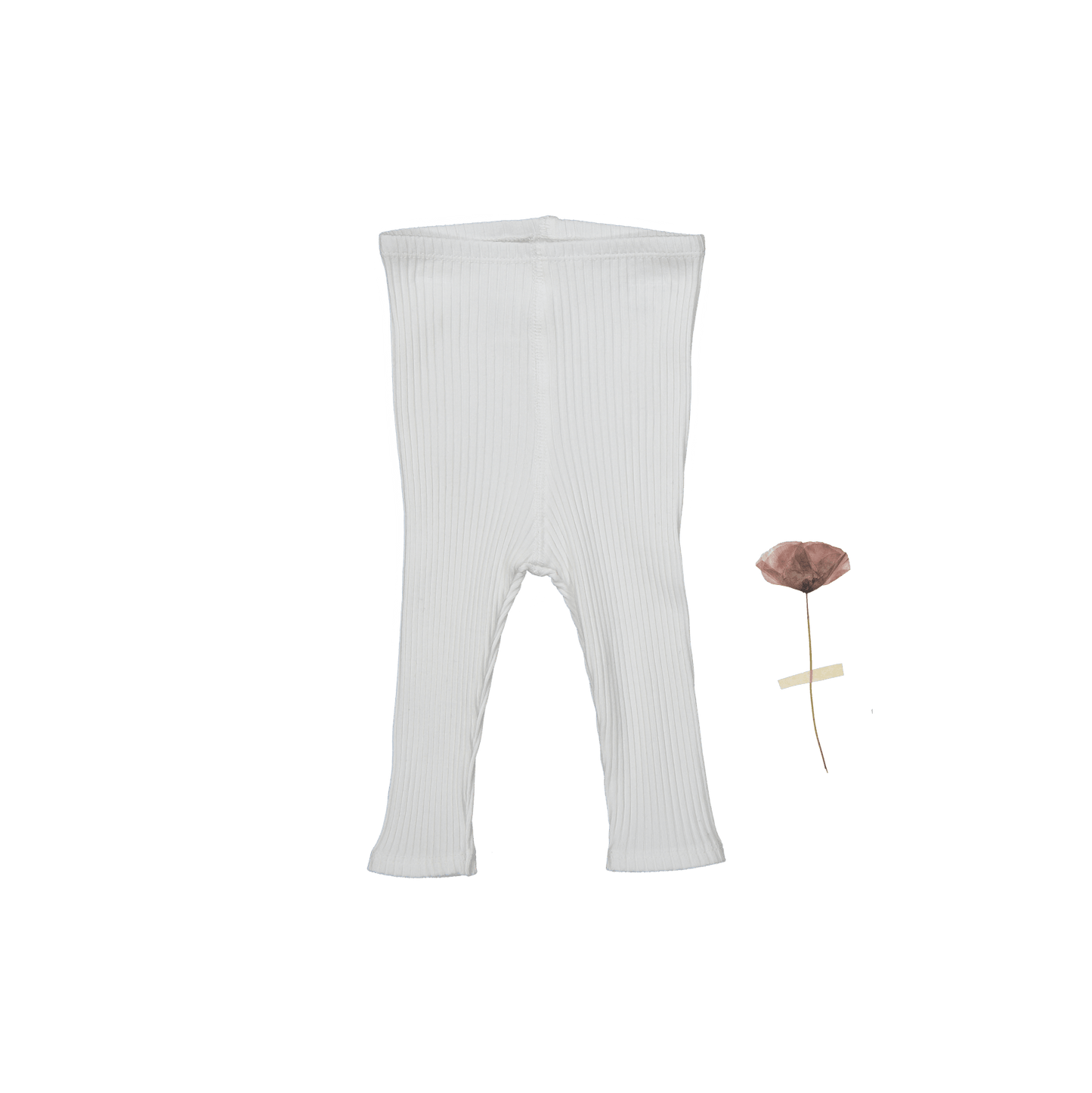 The Legging - Bone