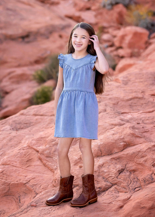 SUNSET FIELDS DENIM DRESS
