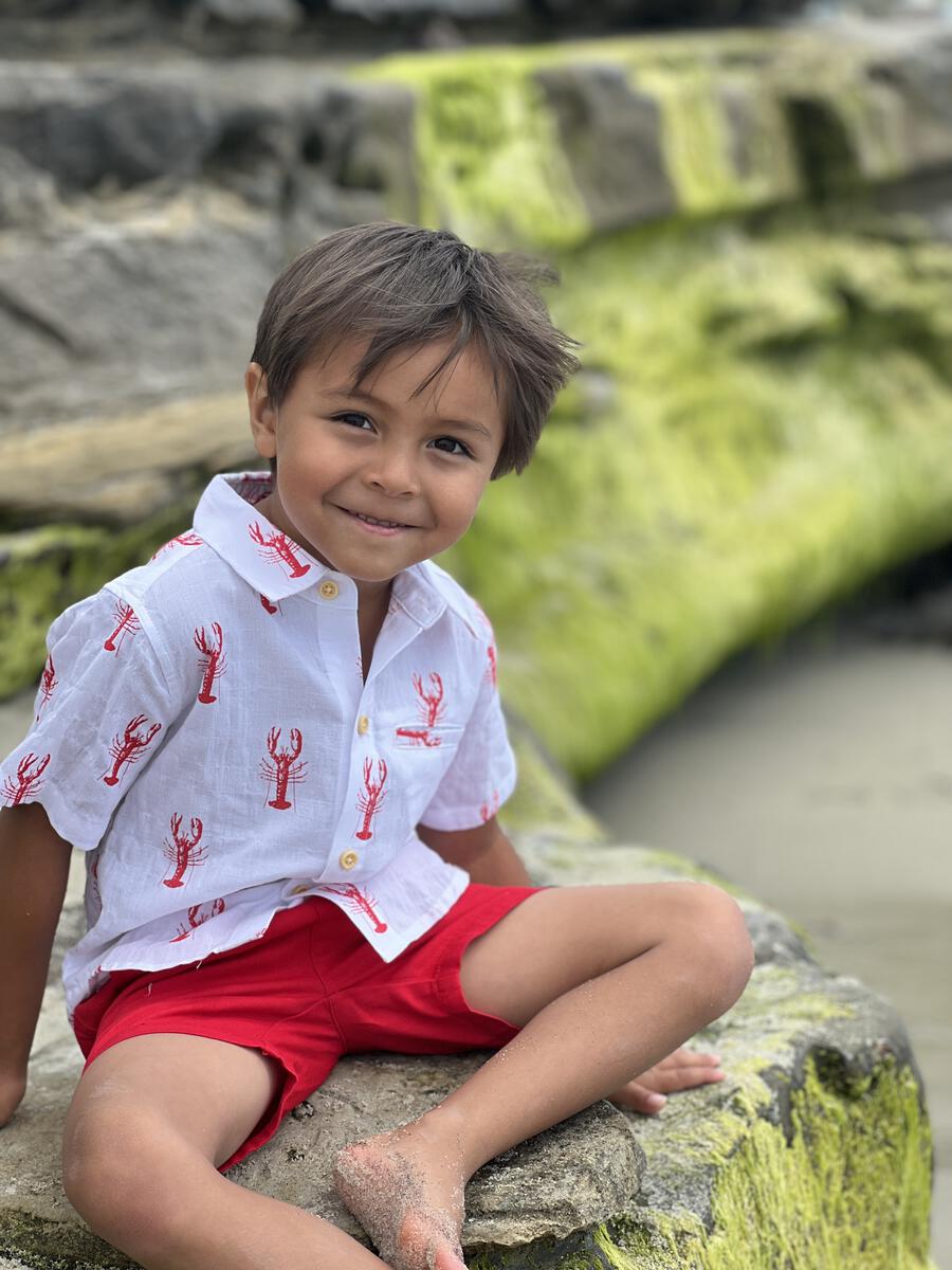 MAUI Red Lobster Print Shirt