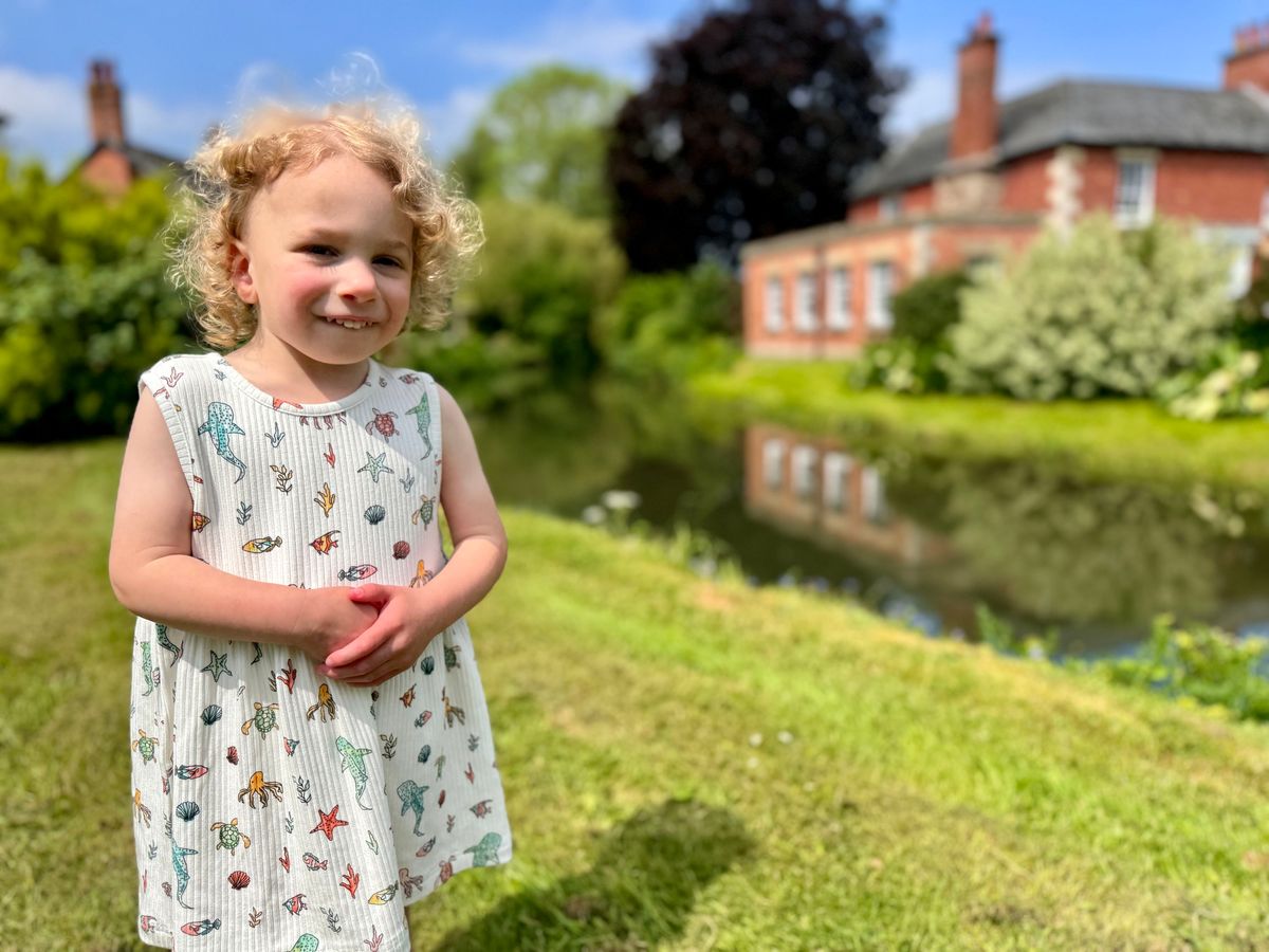 Evie Dress – Nautical