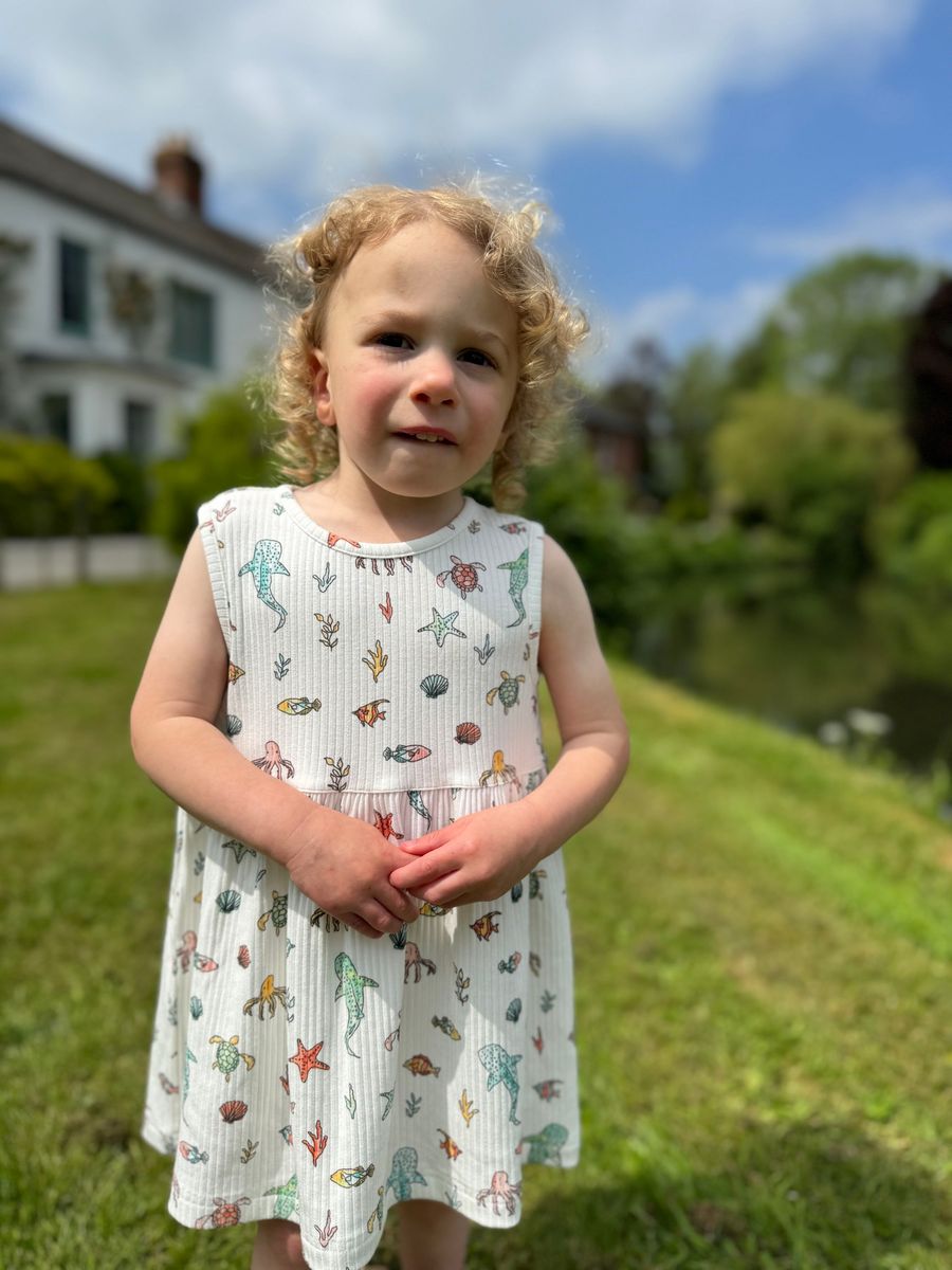 Evie Dress – Nautical
