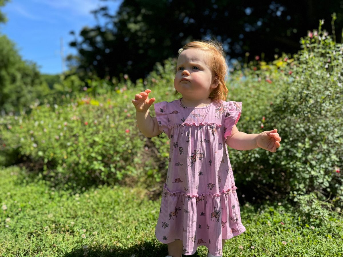 Gracie Cowboy Dress