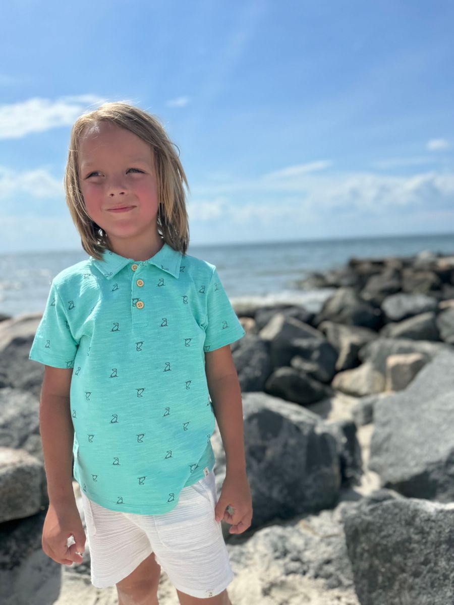 POLREATH Polo-Aqua Henry Print