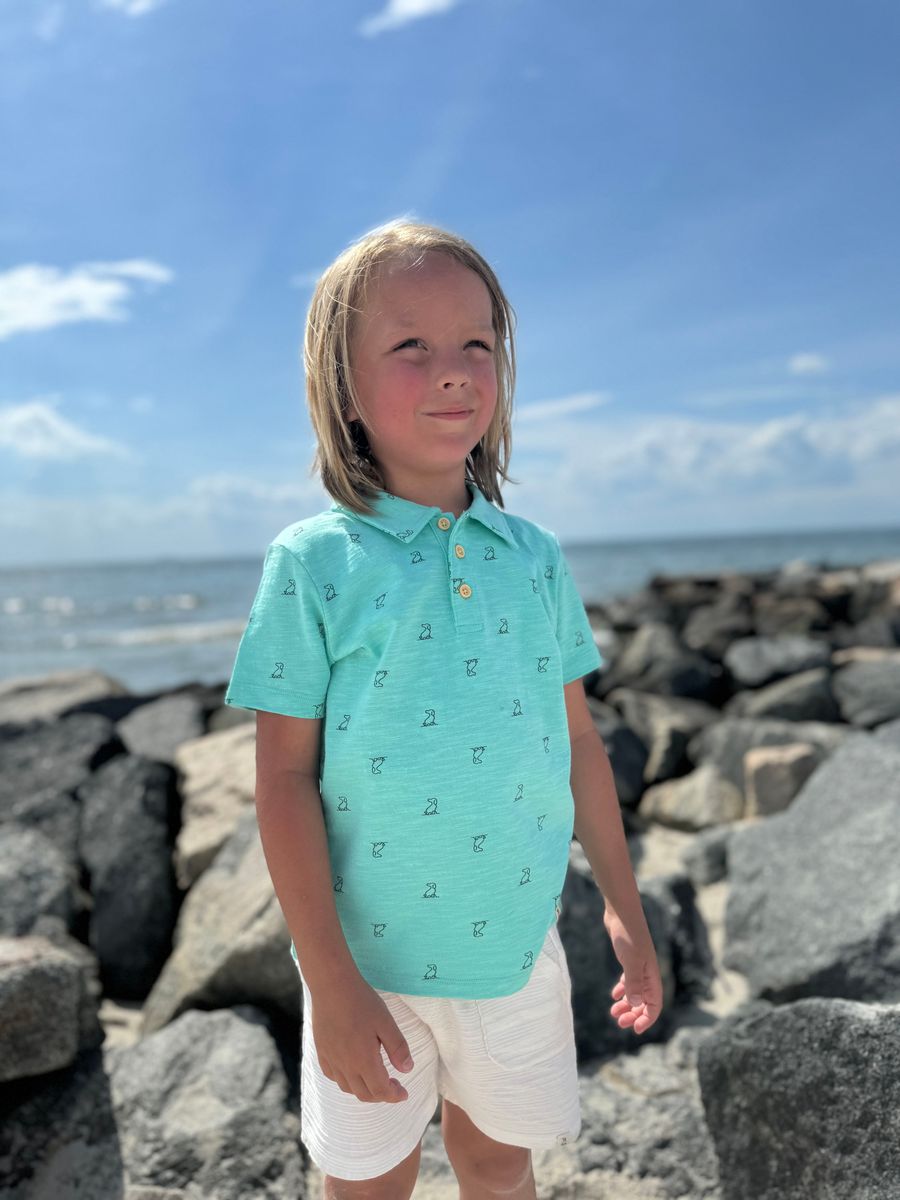 POLREATH Polo-Aqua Henry Print