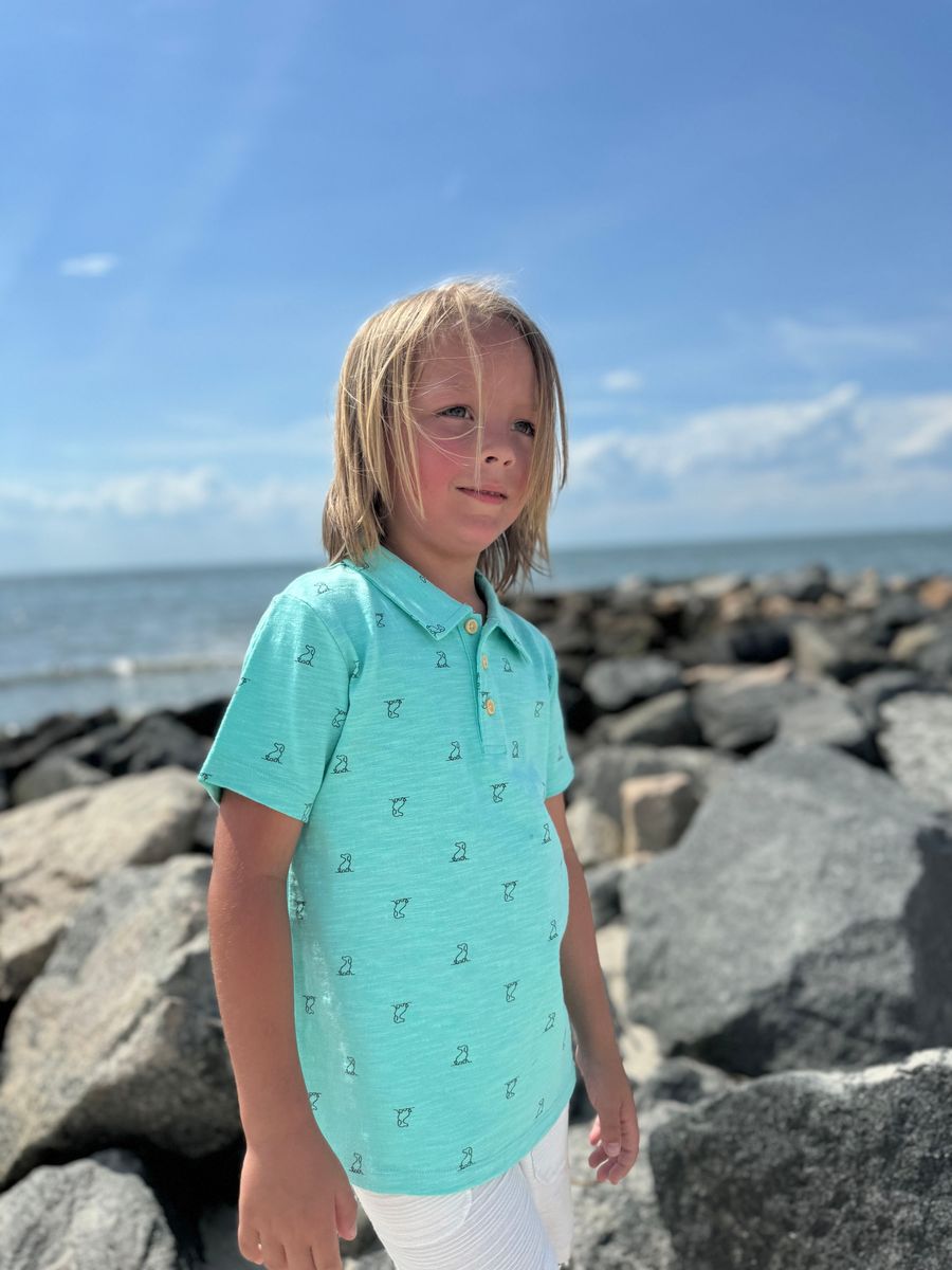 POLREATH Polo-Aqua Henry Print