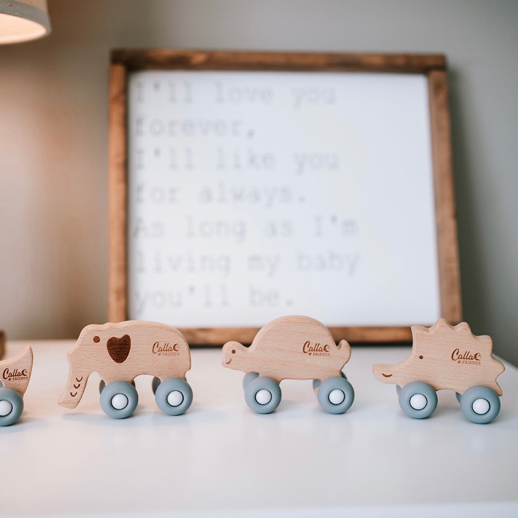 Beechwood Rollin’ Friends - Turtle