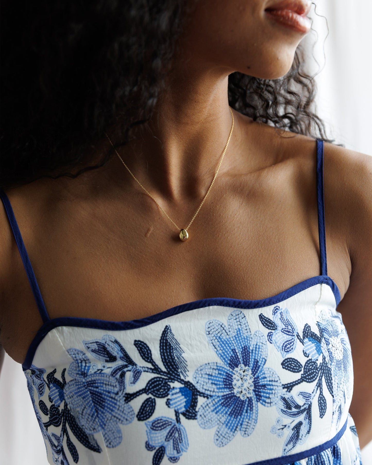 Indigo Garden Dress