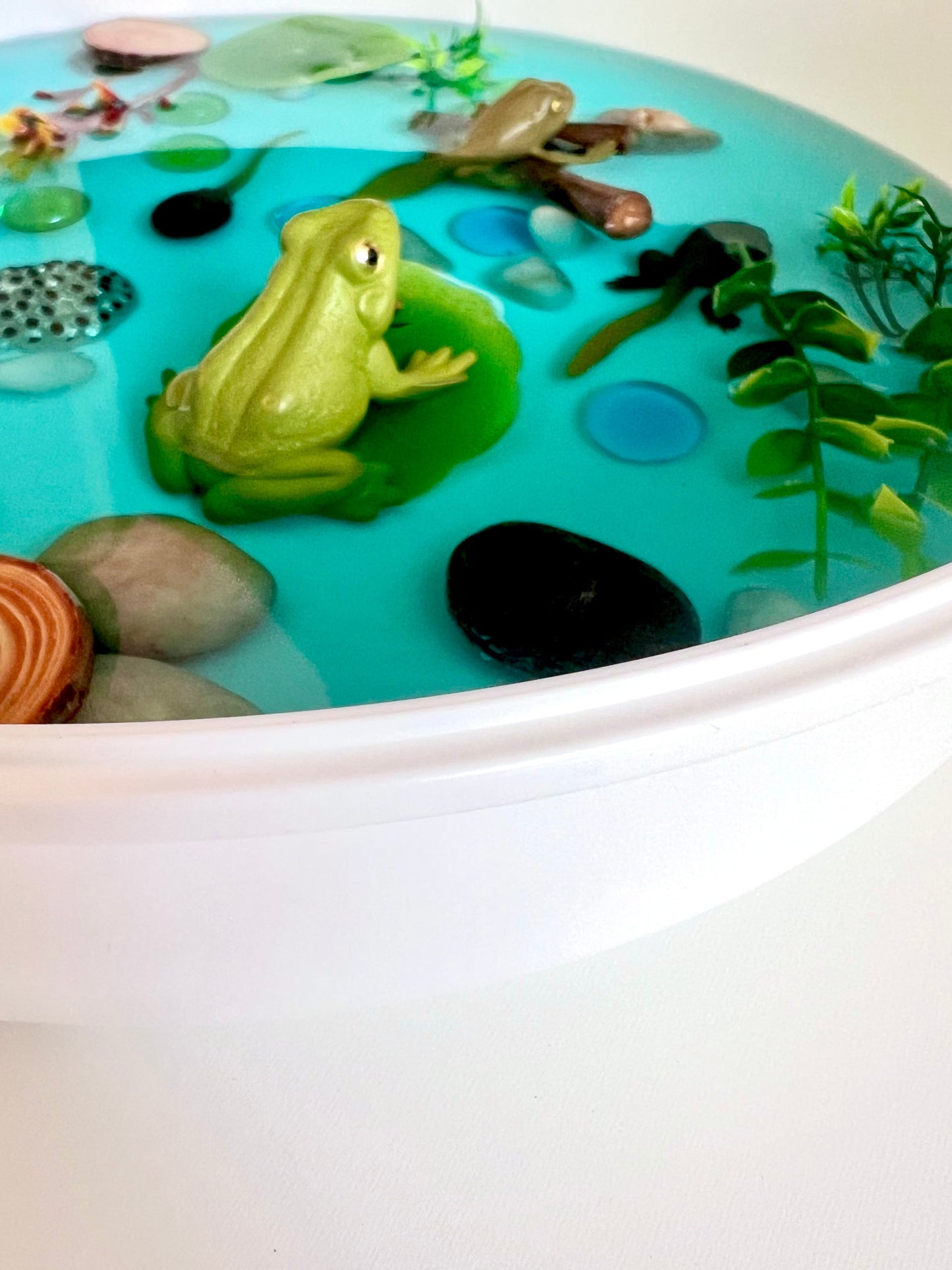 Pond Life Cycle Sensory Kit And Water Play