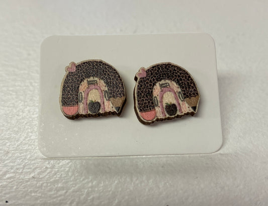 Leopard Pencil Rainbow Earrings