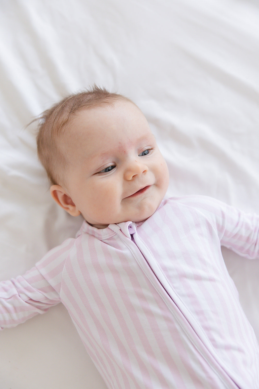 Pink Stripes - Zippy