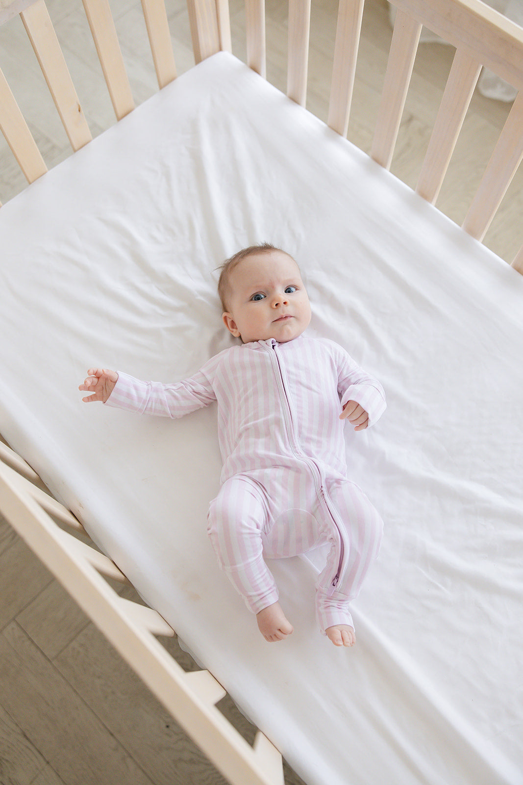 Pink Stripes - Zippy