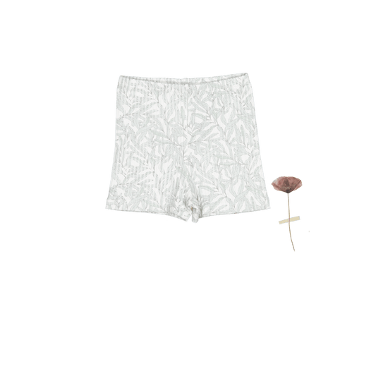 The Printed Short  - Willa