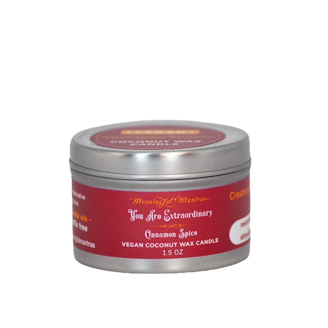 1.5oz Cinnamon Spice Tin Candle