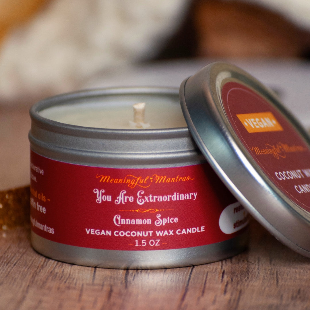 1.5oz Cinnamon Spice Tin Candle