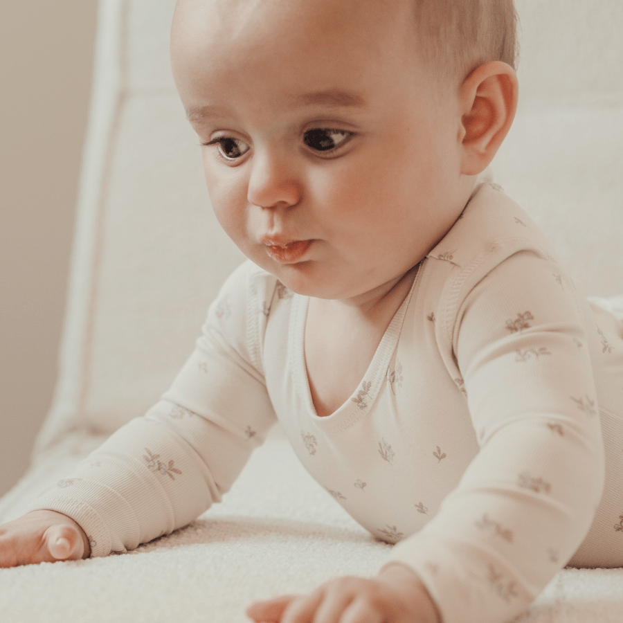 The Printed Set - Berry Blue