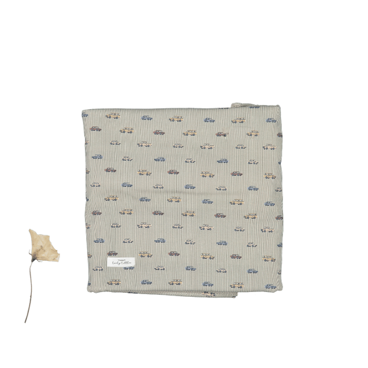 The Printed Blanket - Vintage Car
