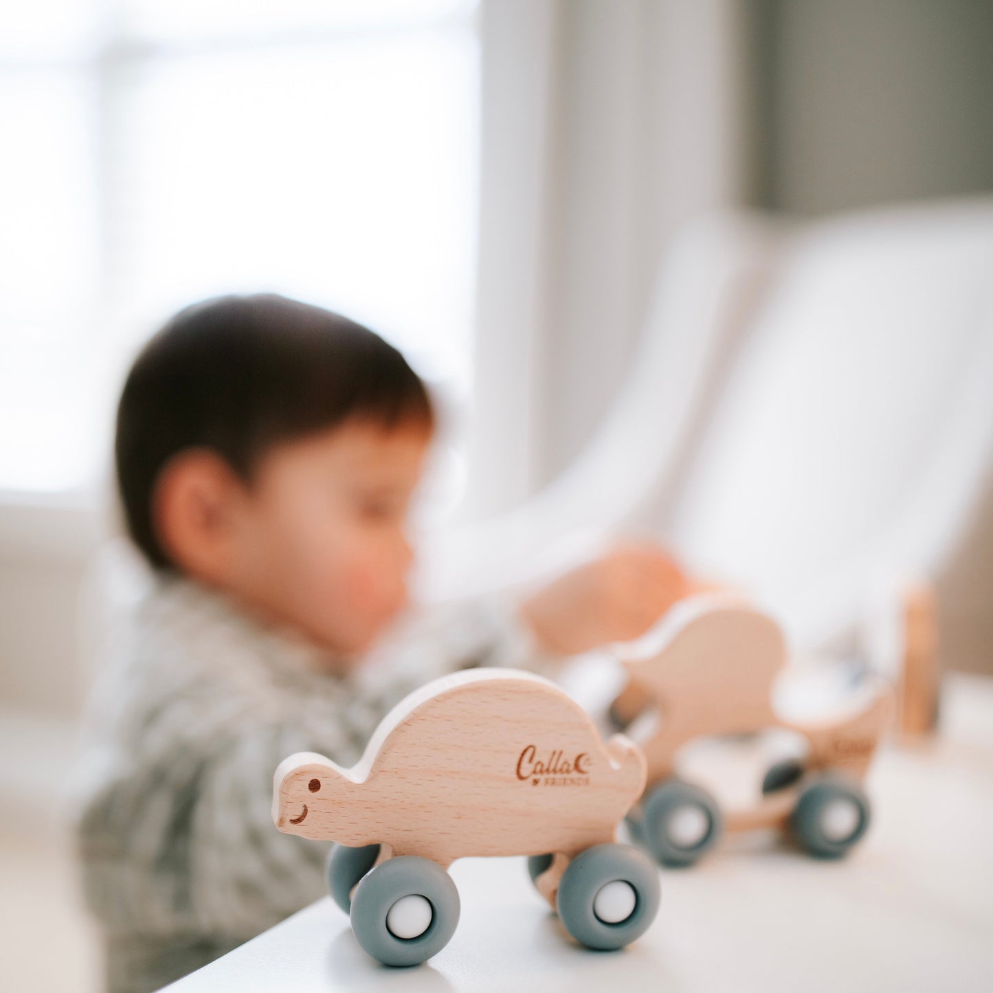 Beechwood Rollin’ Friends - Turtle